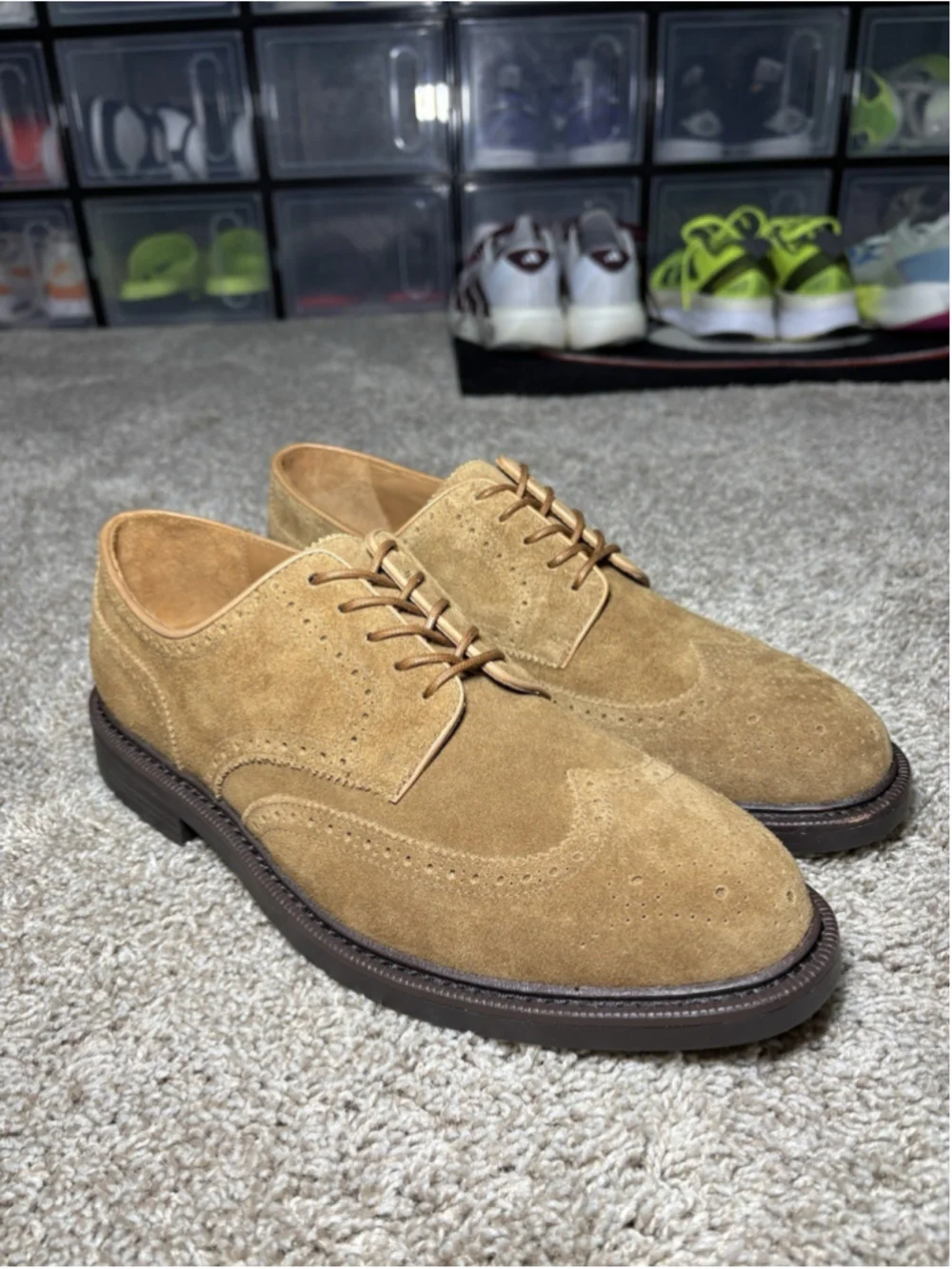 Polo Ralph Lauren Asher Brown Suede Wingtip Shoes Derby Vibram Men’s Size 10 NEW
